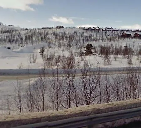 Fully Equipped Ski-in Ski-out At Kikut,