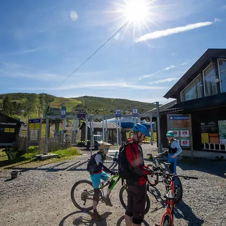 Fully Equipped Ski-in Ski-out At Kikut,