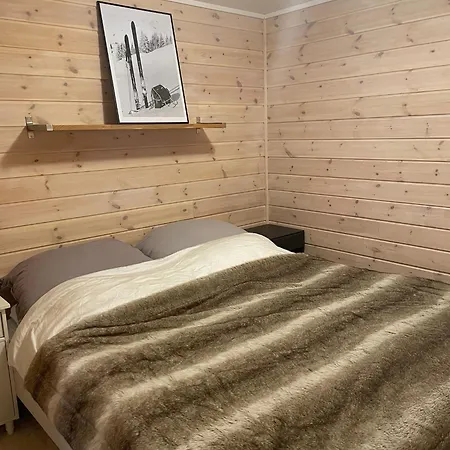 Fully Equipped Ski-in Ski-out At Kikut, *