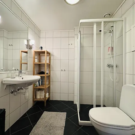 公寓 Fully Equipped Ski-in Ski-out At Kikut, 耶卢